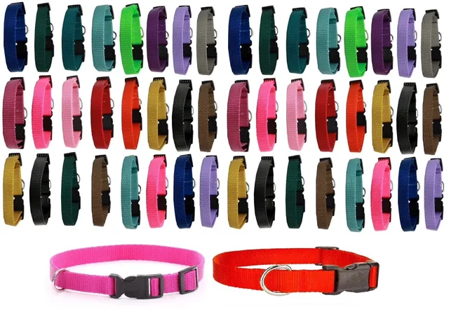 Dog Collar 10 inch adjustable