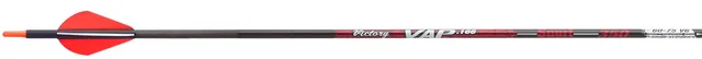 Bows & Arrows 12 pack