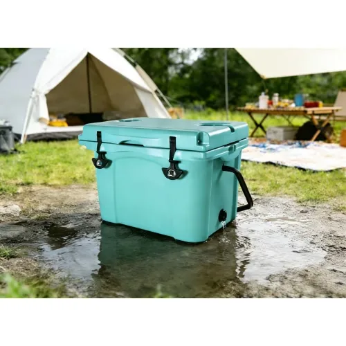 Portable Cooler insulated
