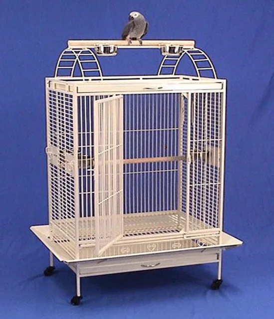 Parrot Bird 40" 30" 71"