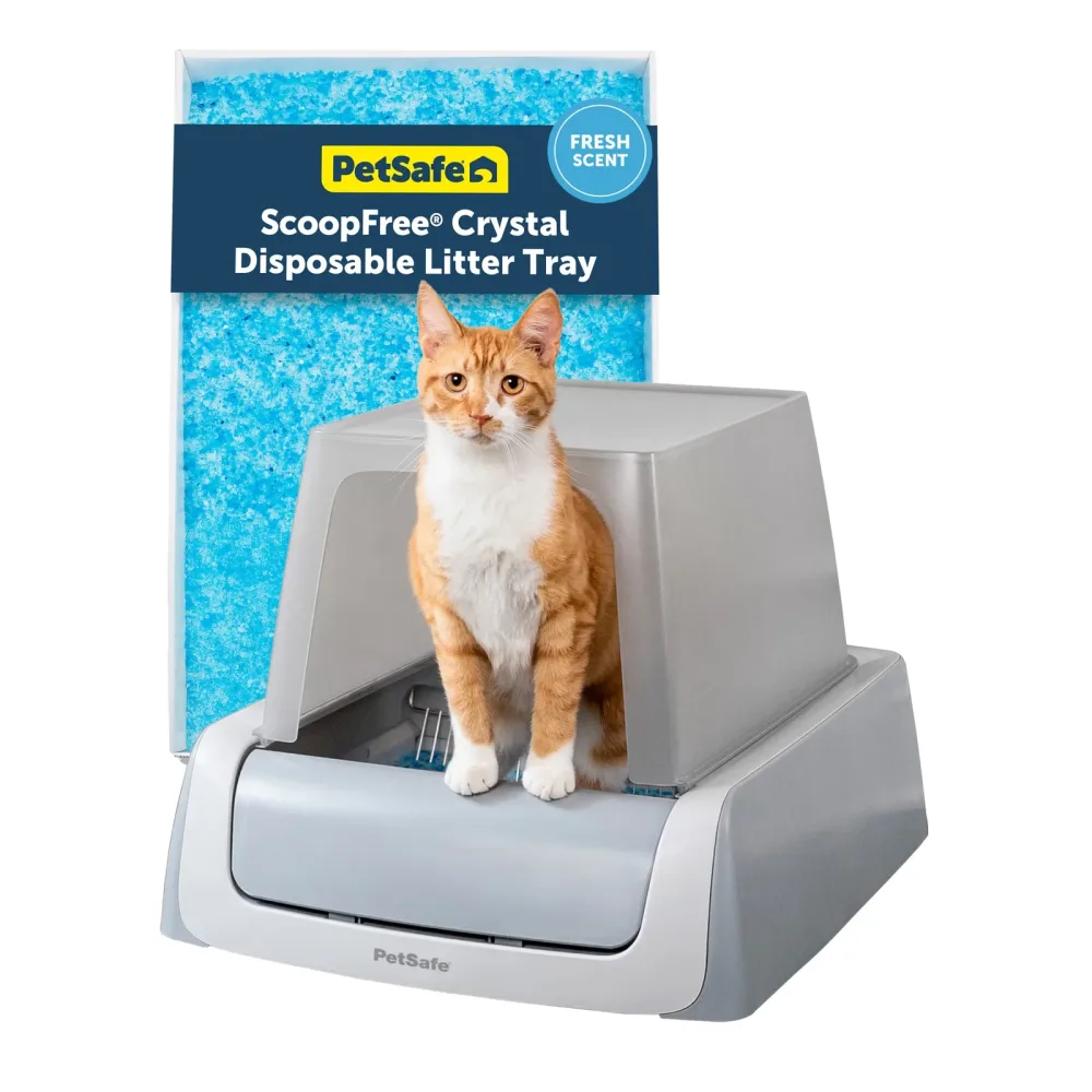 Cat Litter gray