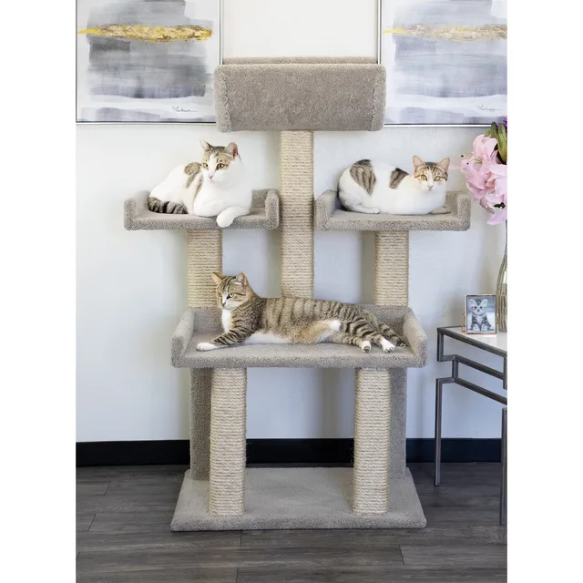 Furniture & Enrichment 56" tan