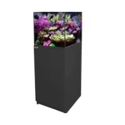 Glass Tank 37 gallon black 37 gallons