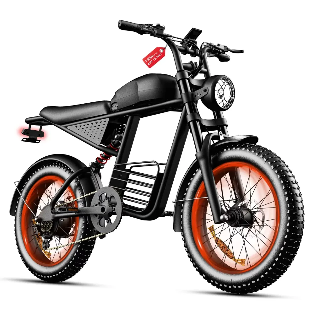 Electric Bike 750w 20" 4.0"