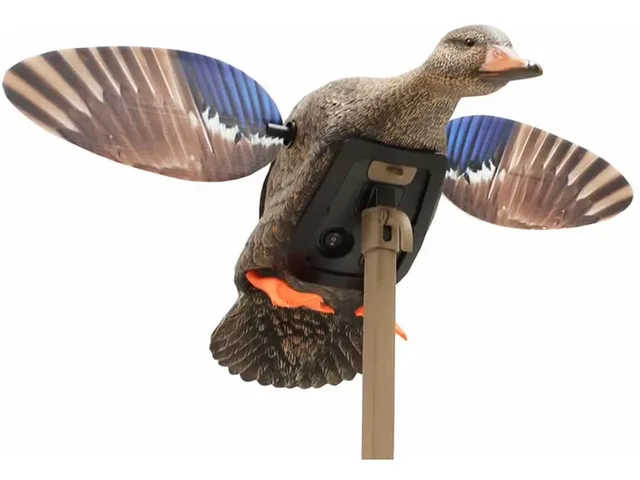 Hunting Gear