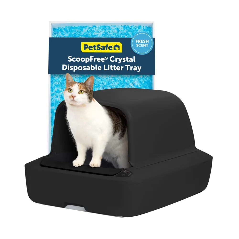 Cat Litter black 18 lb