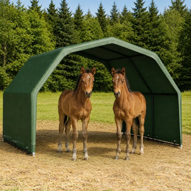 Shelter Canopy waterproof portable green