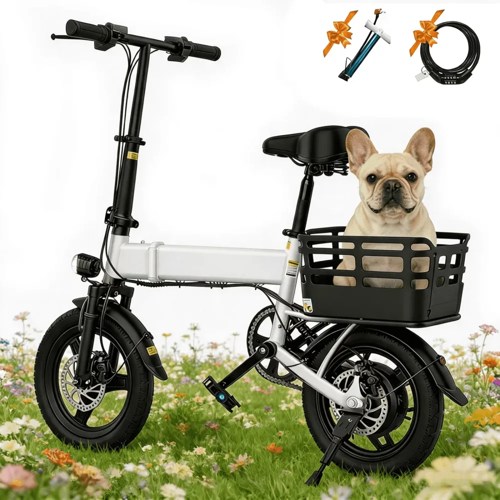 Electric Bike 14" 500w foldable