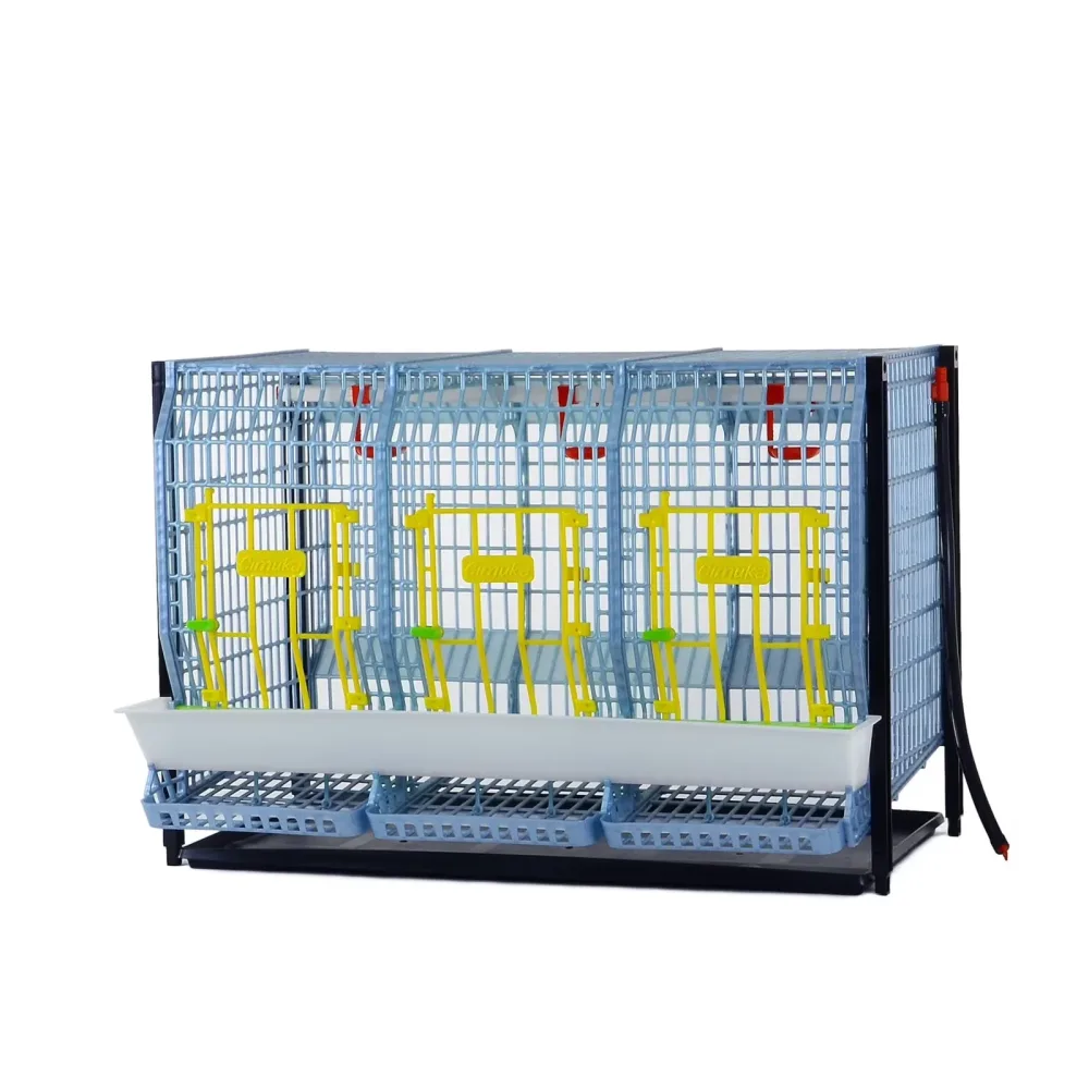Bird Care 22"
