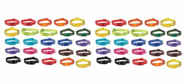 Dog Collars 50 pack adjustable 10 inch