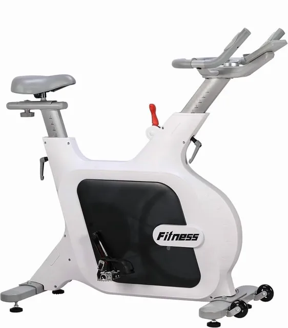 Exercise Bike 300 lbs 30 lb 33"