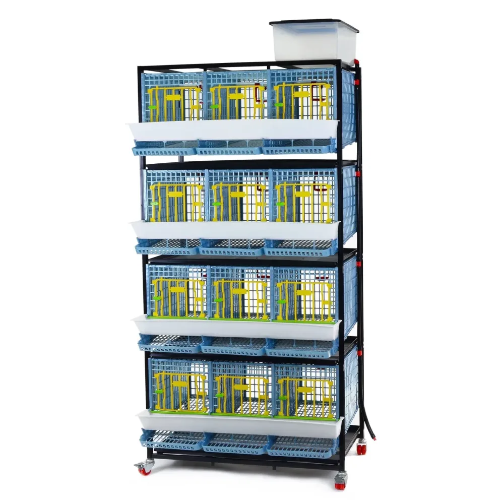 Bird Care 5 gallon locking red