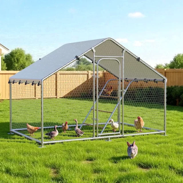 Chicken Coop 4.9 ft 9.9' 4.9'
