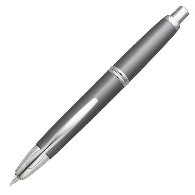 Fountain Pen gray black