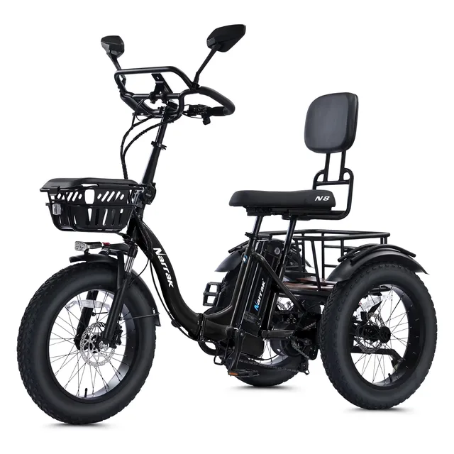 Electric Tricycle 750w 48v black