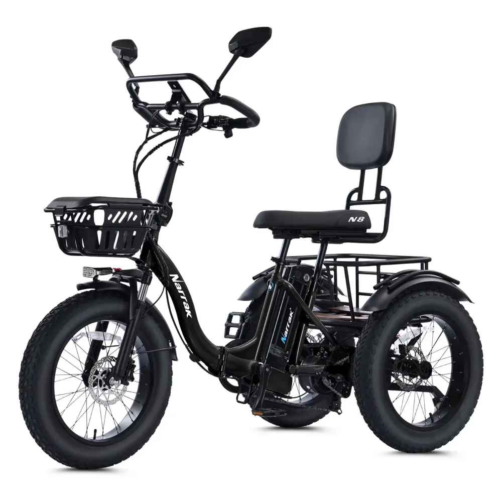 Electric Tricycle 750w 48v black