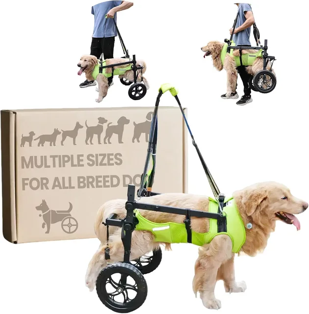 Vest adjustable 1.5 pounds green