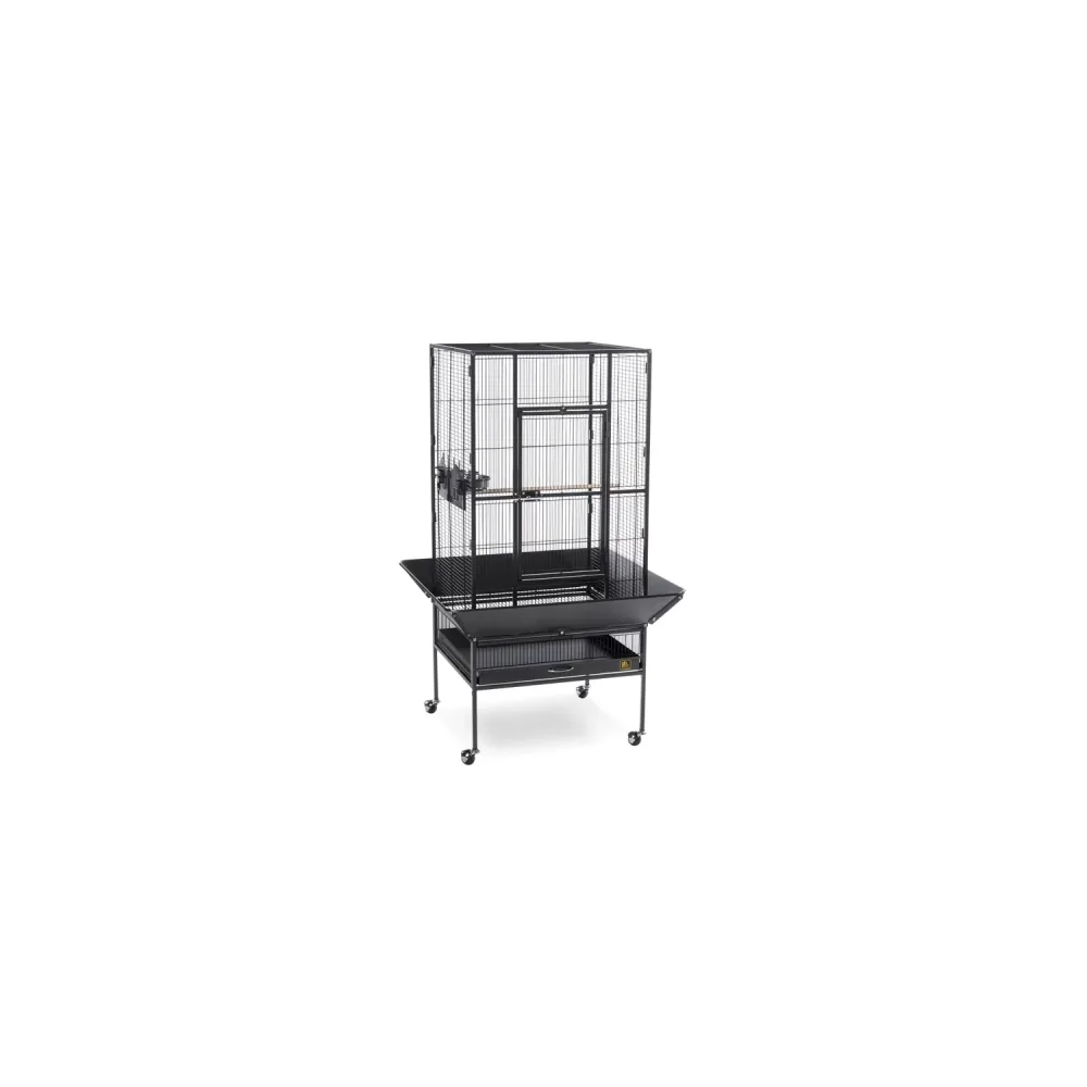 Bird Cage black locking