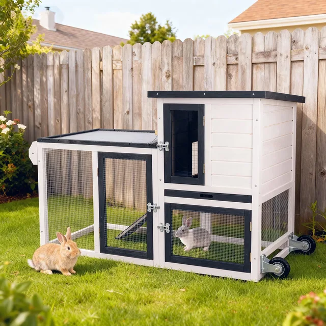 Chicken Coop white