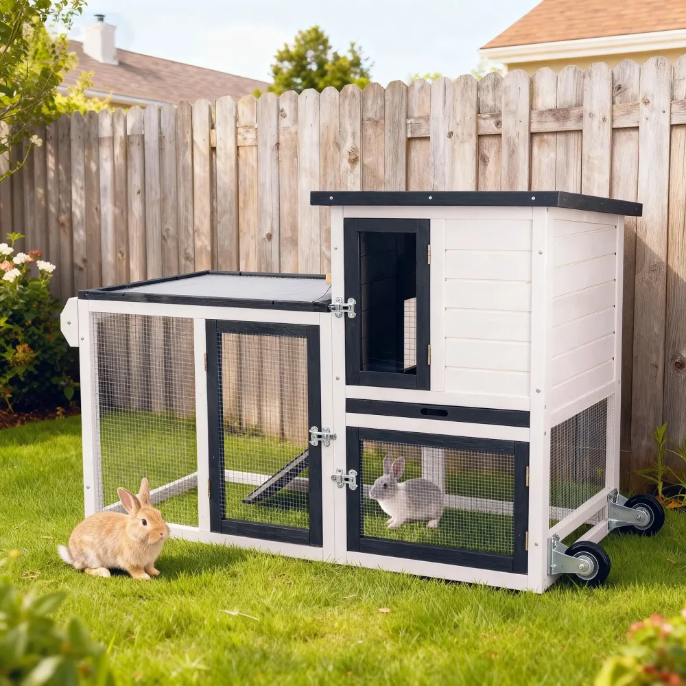 Chicken Coop white