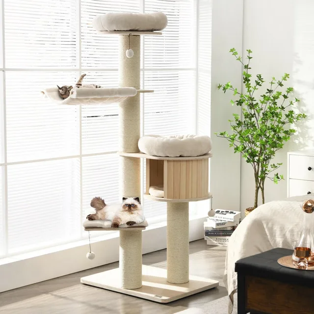 Furniture & Enrichment