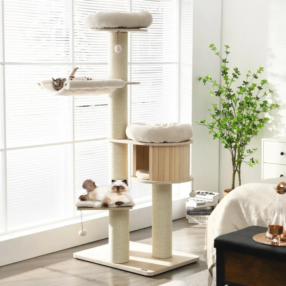Furniture & Enrichment