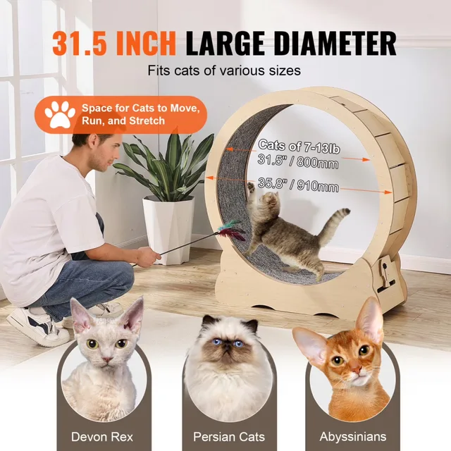 Cat Treadmill 35.8 inch 27in 34.82lbs