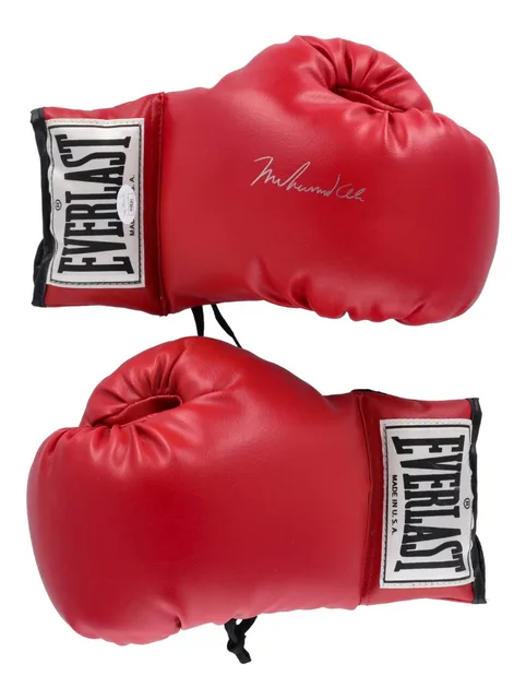 Everlast Boxing