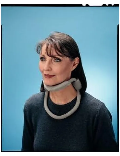 Collar Dog