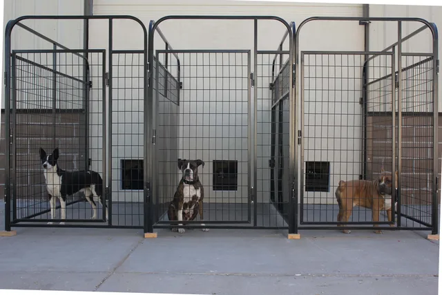 Crates & Gates 4' 6' 1 inch