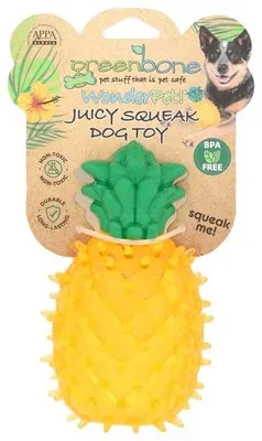 Toy
