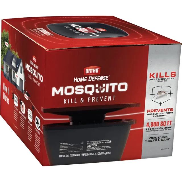 Mosquito