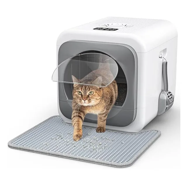Cat Litter 5v