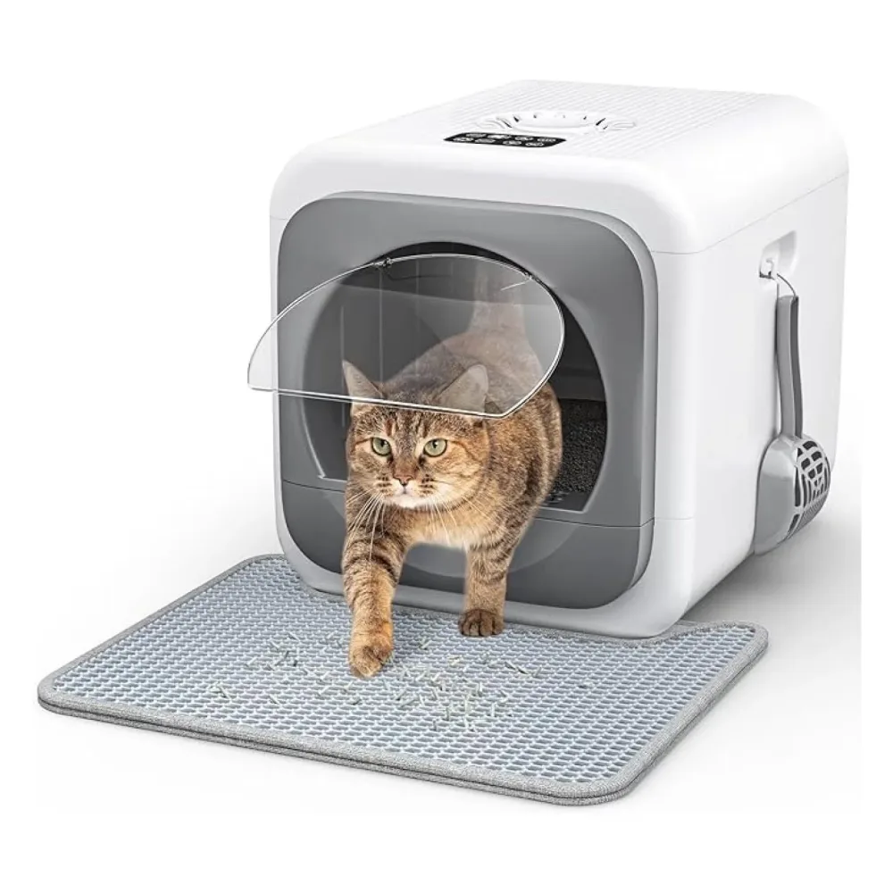 Cat Litter 5v
