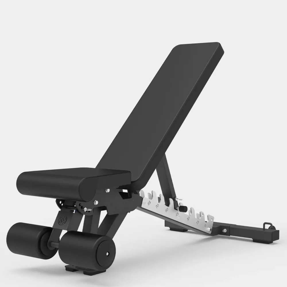 Strength Training 500 lb 1000 lb adjustable