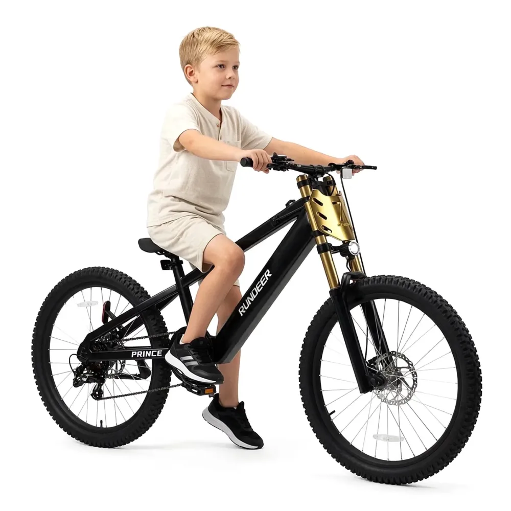 Electric Bike 20' 250w 48v