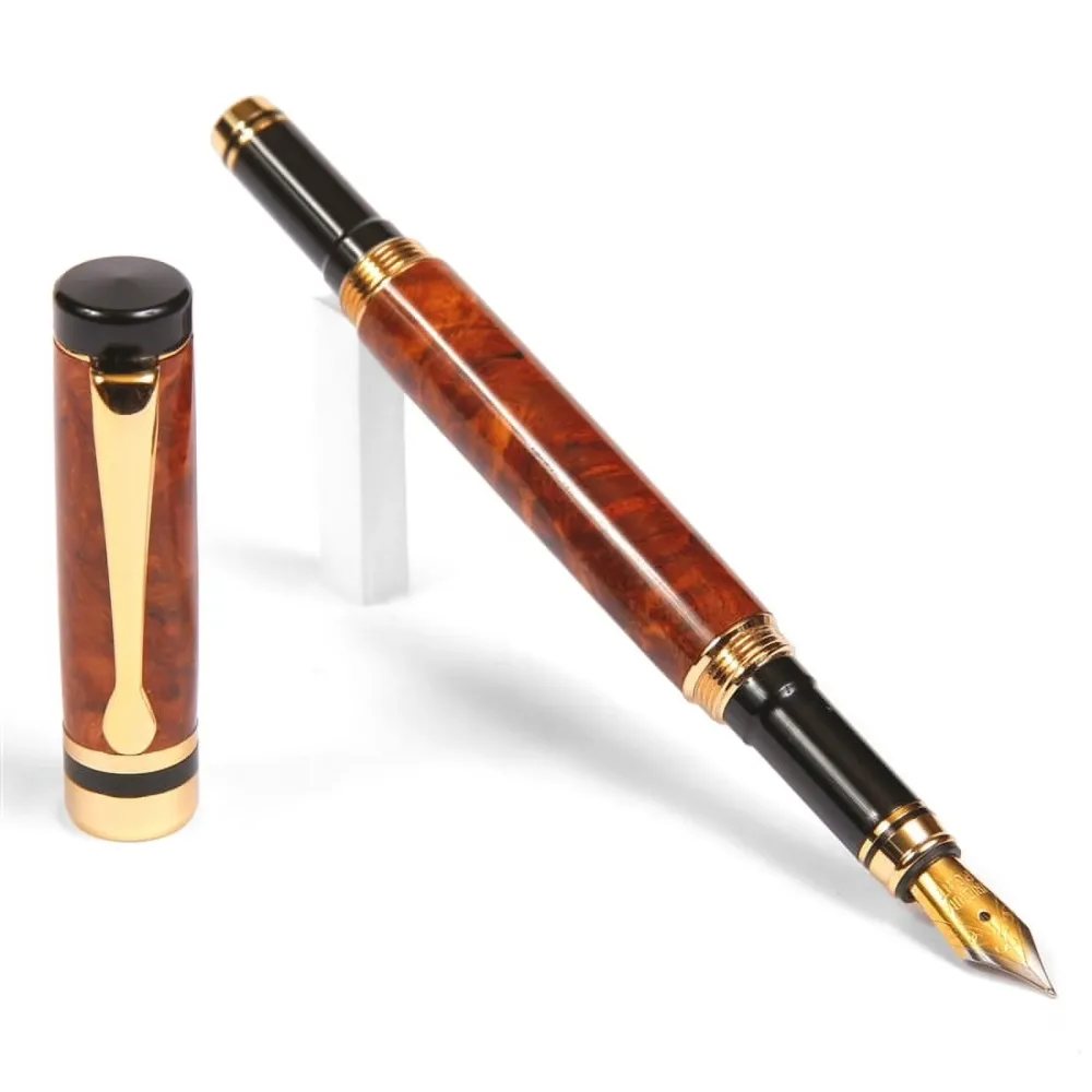 Fountain Pen black