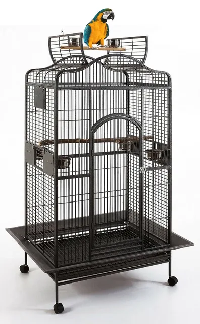 Parrot Bird 28" 22" 59"