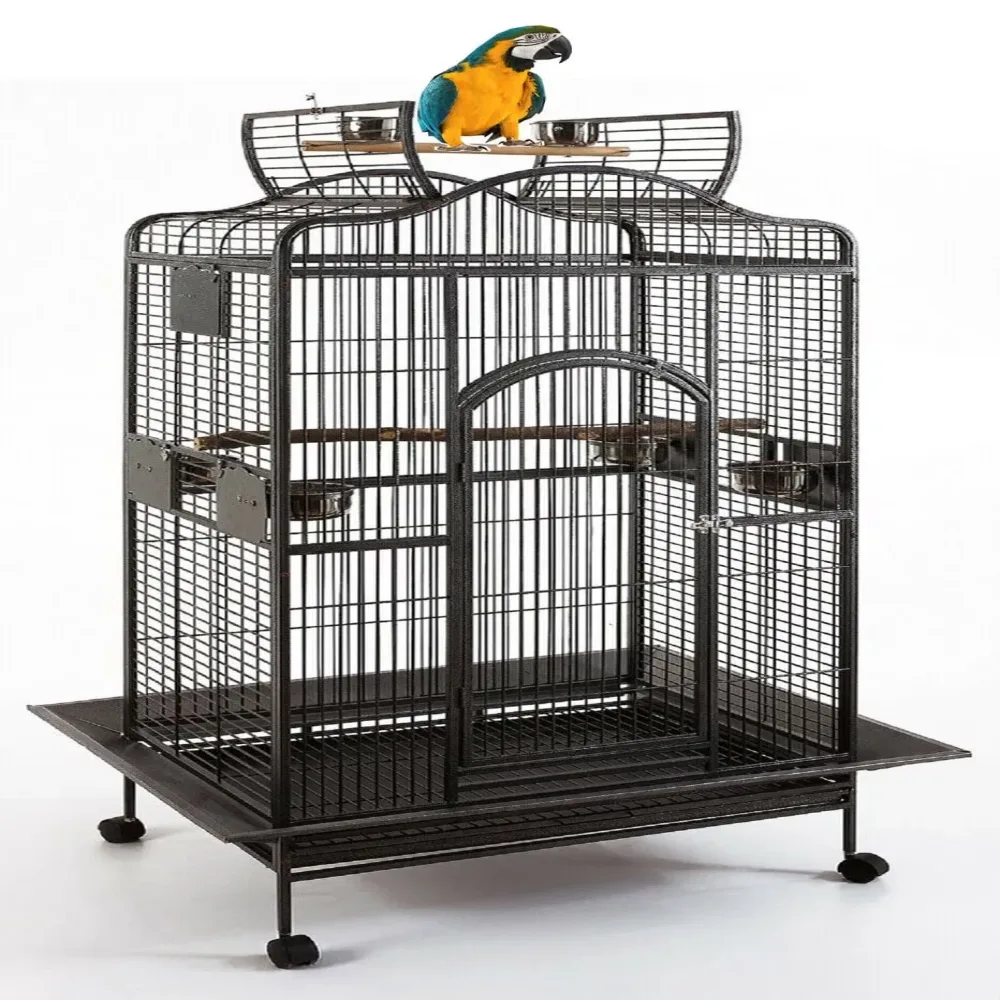 Parrot Bird 28" 22" 59"