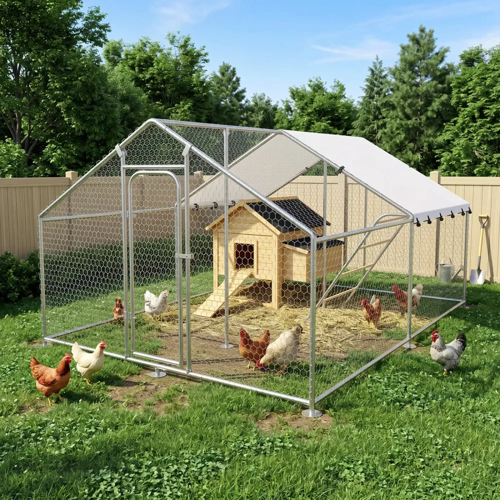 Chicken Coop 19.7' 9.8' 6.4'