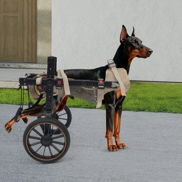 Wheel Dog 65kg 143.3lbs 70-84cm