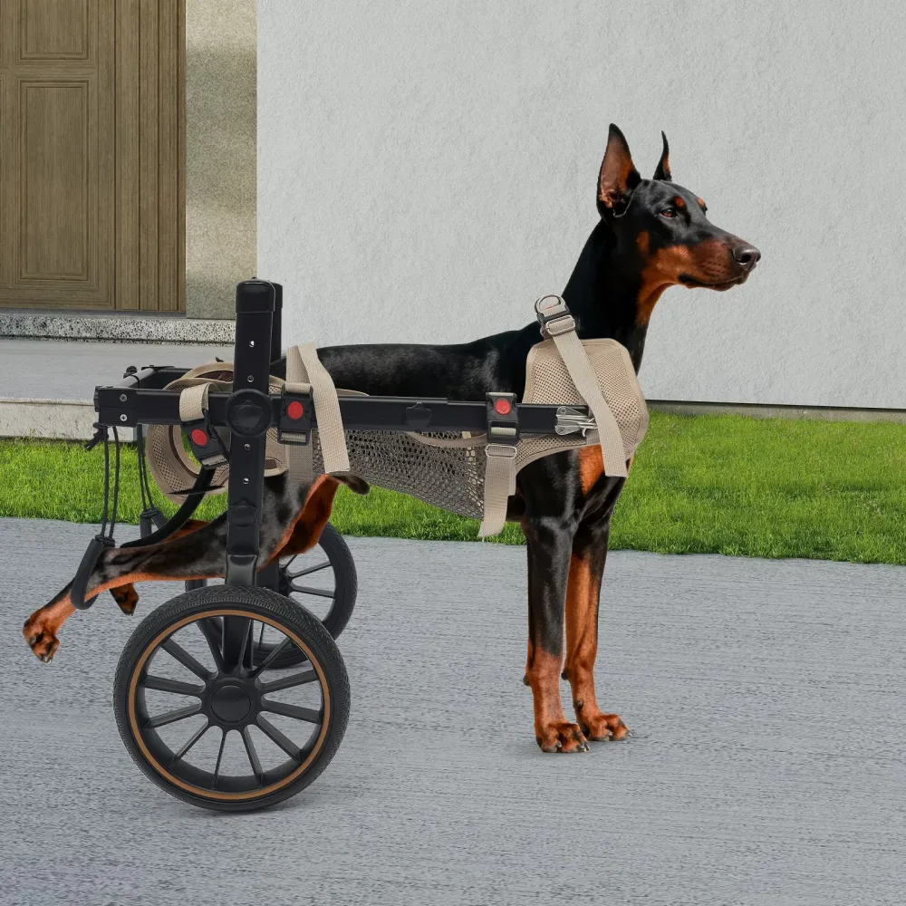 Wheel Dog 65kg 143.3lbs 70-84cm