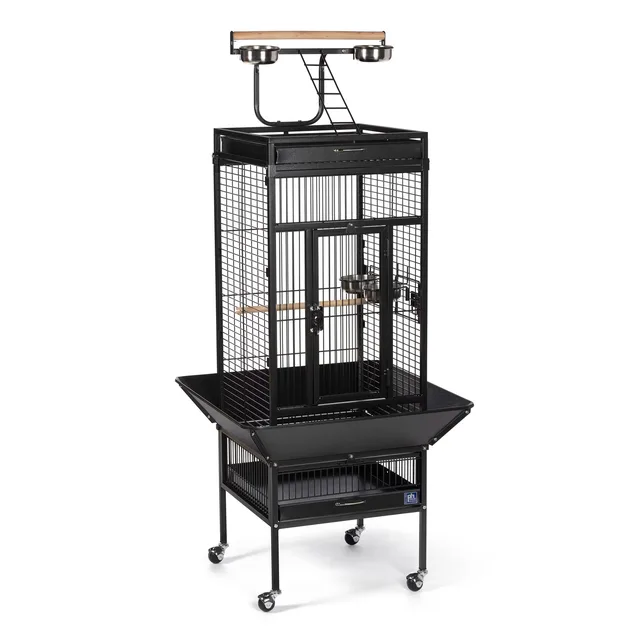 Bird Cage 57 in black 24"
