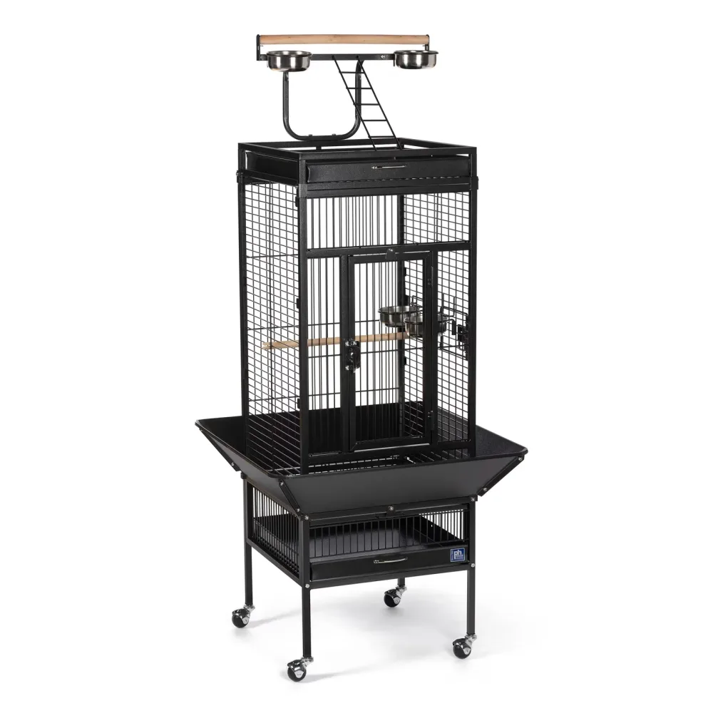 Bird Cage 57 in black 24"