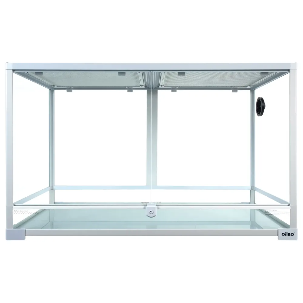Glass Reptile white