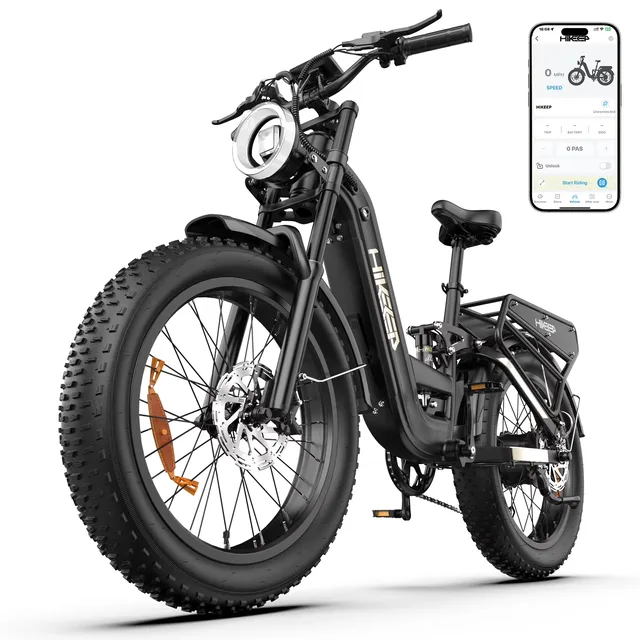 Electric Bike 2000w 4000w 48v