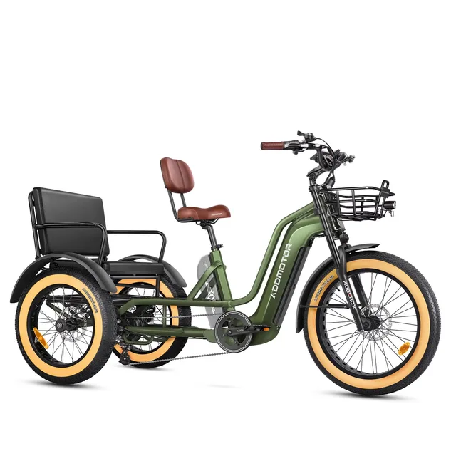 Electric Tricycle 750w 48v 500 lbs