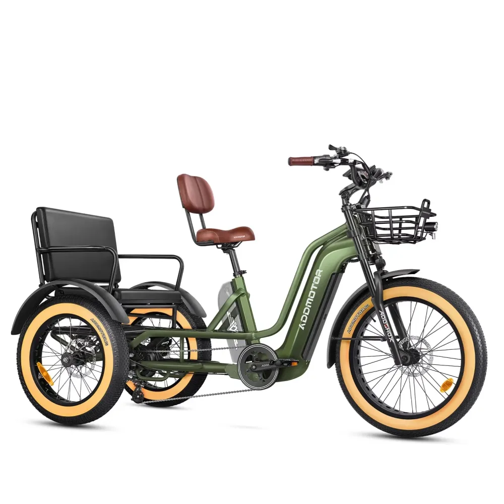 Electric Tricycle 750w 48v 500 lbs