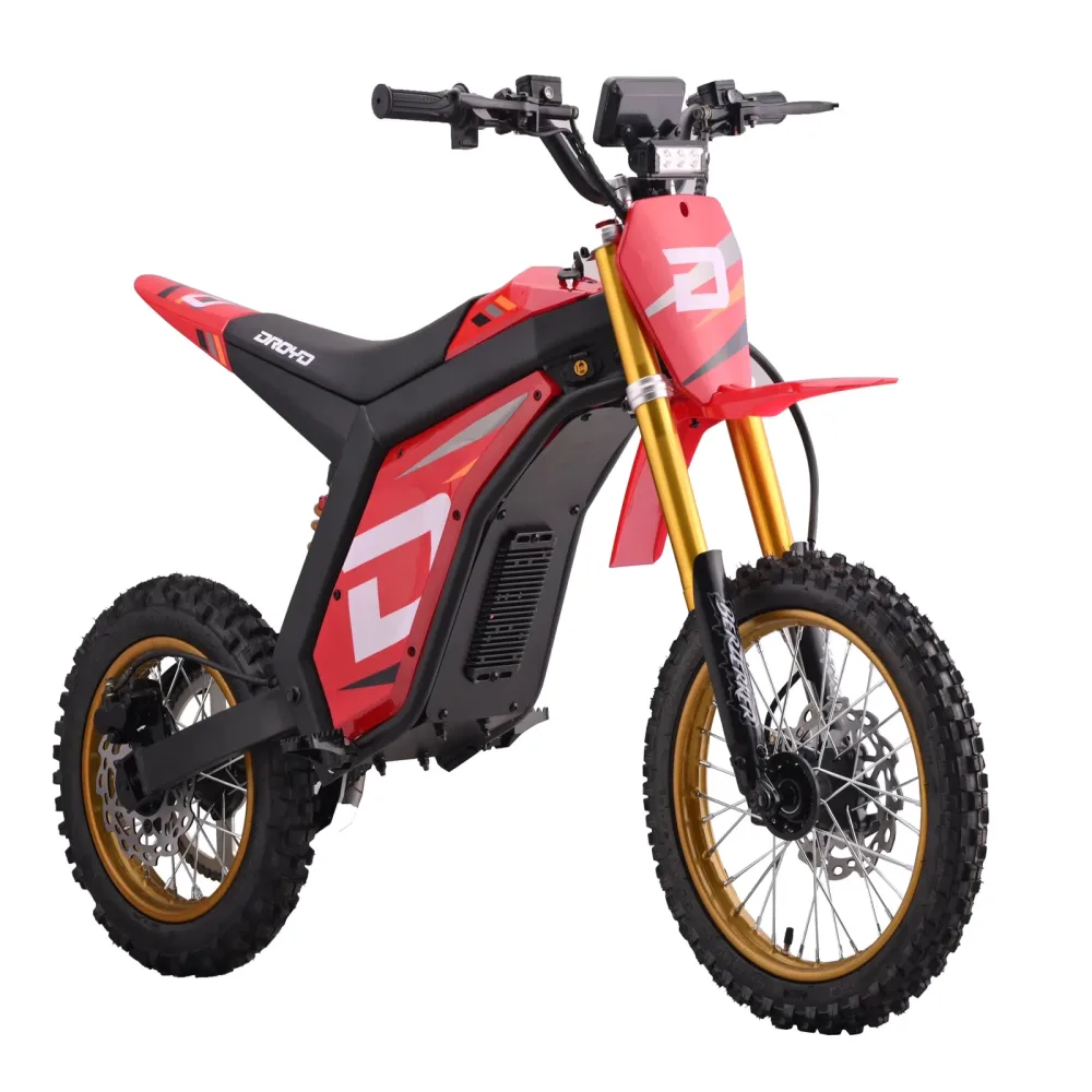 Electric Dirt 3000w 48v adjustable