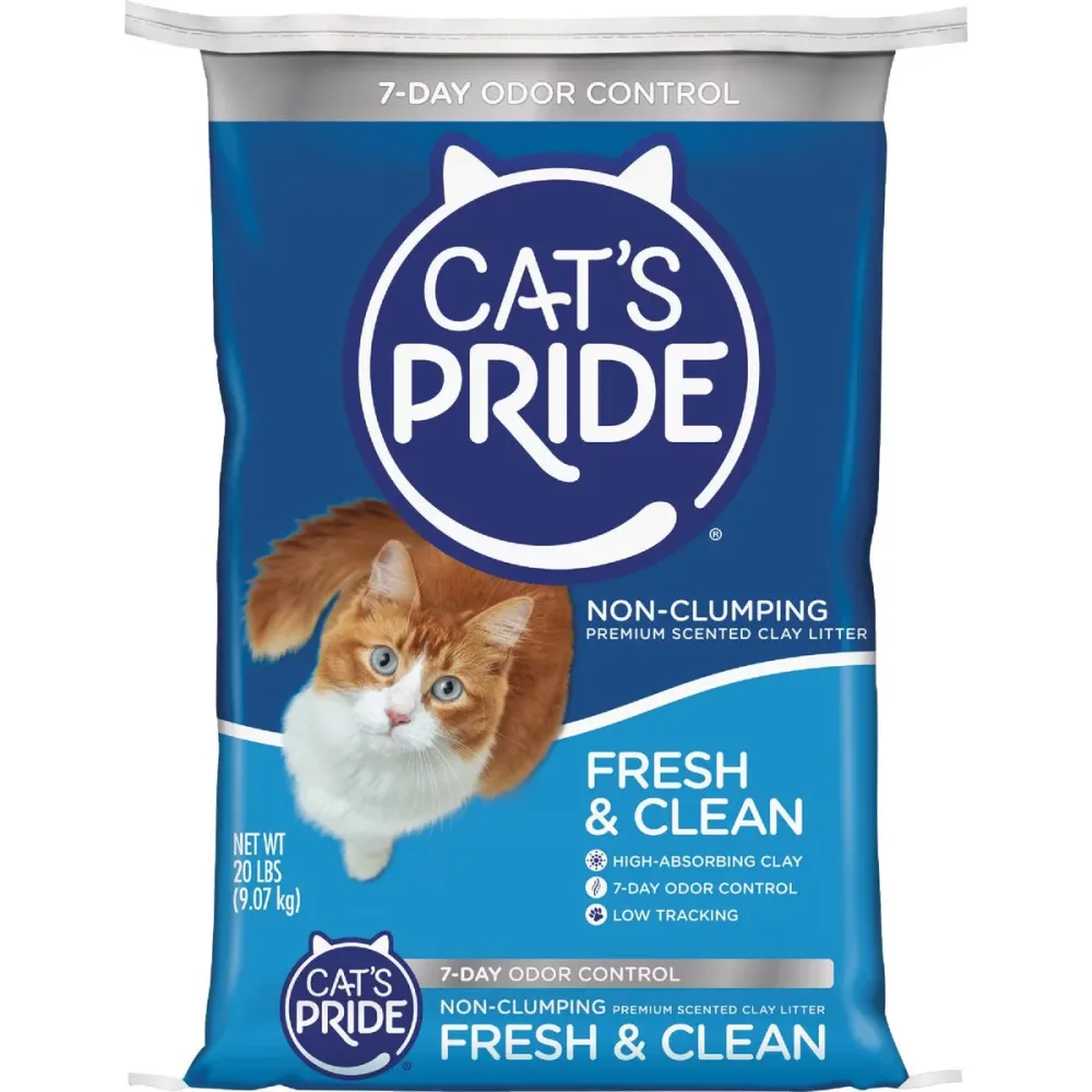 Cat Litter